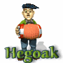 hegoak